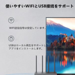 【2019年登場】オリジナルセット Xiaomi Box 4SE + USB ＋ HDMI ケーブル  小米盒子4SE 中国境内テレビの番組と映画と現場放送と海外映画が見えます。 - 画像 (6)