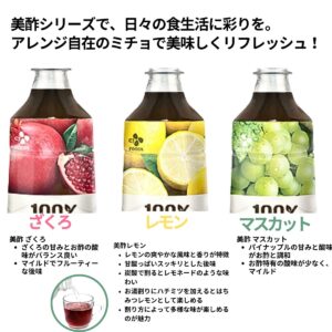 美酢 (ミチョ) アソートセット 希釈用 900ml x 3本 韓国製 100%果実発酵のお酢 調味酢 タイプ2種 (ざくろ グレープフルーツ パイナップル / ざくろ レモン マスカット) 実用的 母の日 父の日 プレゼント - 画像 (9)